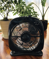 呼吸トリップ  　プロモーション・セクション　内田 光香（うちだ みか）